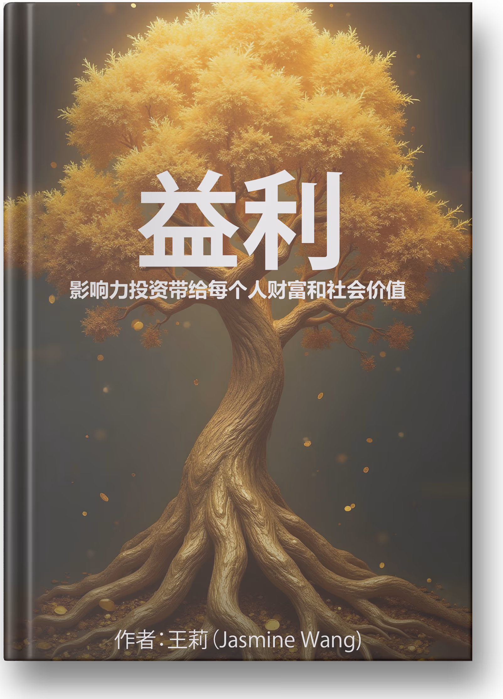 Book cover 25